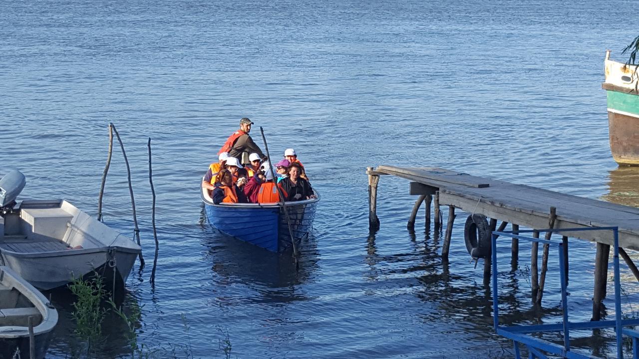Pensiunea Delta D.M.Y. Mahmudia Eksteriør billede